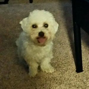 Meet your Posher, Leah